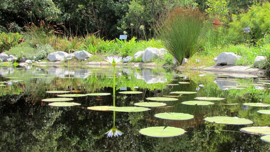 Bettyʼs Bay Bucaco Sud Guest House מראה חיצוני תמונה